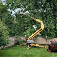 Best Tree and Shrub Care  in Carbon Cliff, IL