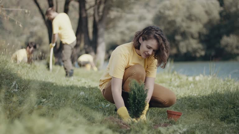 Best Soil Testing and Treatment  in Carbon Cliff, IL